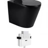 Alzano WF Rimless Pan Slim Seat - Matte Black / R&T Low Rise Inwall Cistern(Button Order Separately)