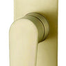 Zevio Diverter Shower Mixer Brushed Gold