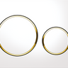 Sigma20 Dual Flush Button Round White With Gold Trim