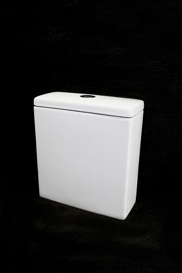 Alzano Rimless Cistern Geberit