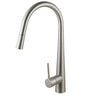 Brushed Nickel - Pull Out Kitchen Mixer 420