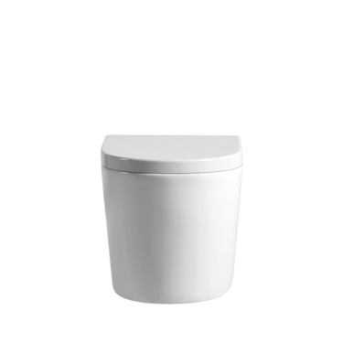 Rainia Rimless Wall Hung Pan Dual Flush 520*360*325mm V302R/V302R-MW/MB