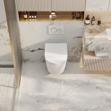 Zara66 Wall-Hung Pan