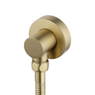 Light Brushed Brass Shower Rail with Handheld Shower