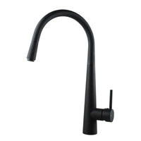 Pull Out Kitchen Mixer (1021)