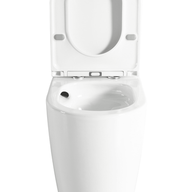 Walton Back-to-Wall Toilet Suite