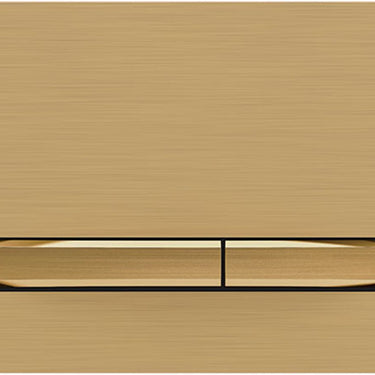 Sigma50 Dual Flush Button Brass Brushed with Brass Button