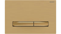 Sigma50 Dual Flush Button Brass Brushed with Brass Button
