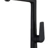 Zevio Kitchen Sink Mixer Matte Black