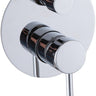 Pavia Diverter Mixer Project