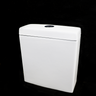 Deluso Rimless Cistern