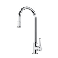 Clasico Sink Mixer Pull-Out